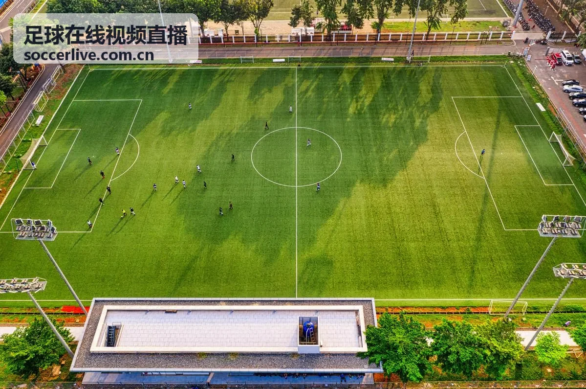 欧冠战术分析 - 足球在线视频直播